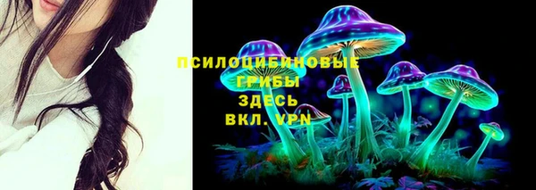 ГАЛЛЮЦИНОГЕННЫЕ ГРИБЫ Белоозёрский