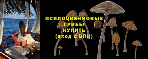 бутират Беломорск