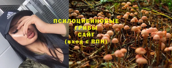 ешки Белокуриха