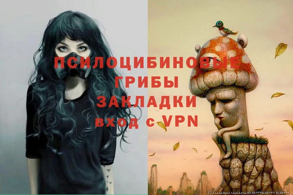 бутират Беломорск