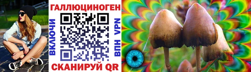 Псилоцибиновые грибы мицелий  hydra зеркало  Котельники 
